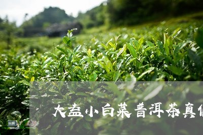 大益小白菜普洱茶真假/2023092991692