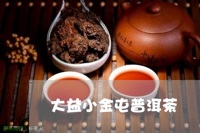 大益小金屯普洱茶/2023110947361