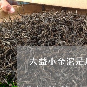 大益小金沱是几级茶小金沱碎茶/2023053183837