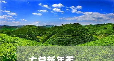 大益新年茶/2023041700103