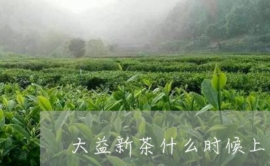 大益新茶什么时候上市/2023071676473