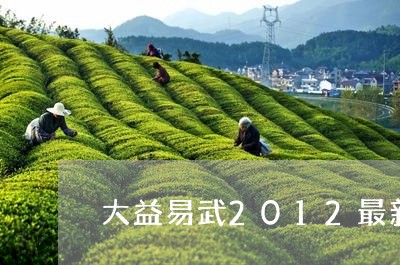 大益易武2012最新价格/2023051274049