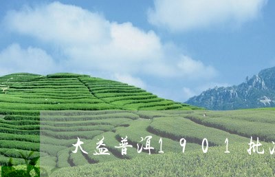 大益普洱1901批次/2023061388472