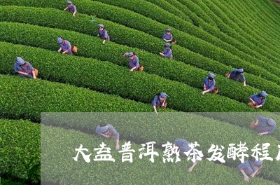 大益普洱熟茶发酵程度/2023061365030