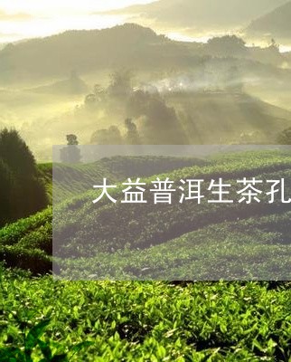 大益普洱生茶孔雀沱茶/2023092472795