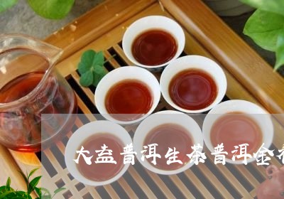 大益普洱生茶普洱金福茶厂茶饼价格/2023060370493