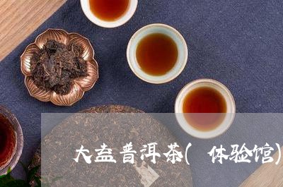 大益普洱茶(体验馆)/2023062842725