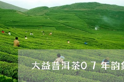 大益普洱茶07年韵象/2023093034826