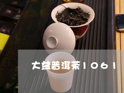 大益普洱茶1061/2023091444935