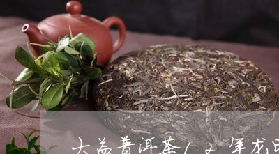 大益普洱茶12年龙印/2023062036157