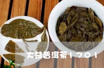 大益普洱茶1701/2023071012815