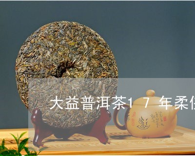 大益普洱茶17年柔侠/2023092749471