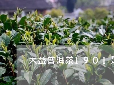 大益普洱茶1901是什么意思/2023053030695