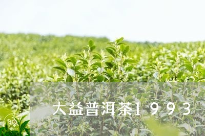 大益普洱茶1993/2023101715158