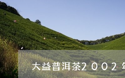 大益普洱茶2002年/2023080168605