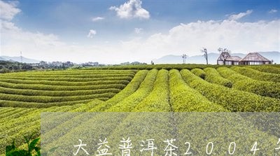 大益普洱茶2004年/2023080125827