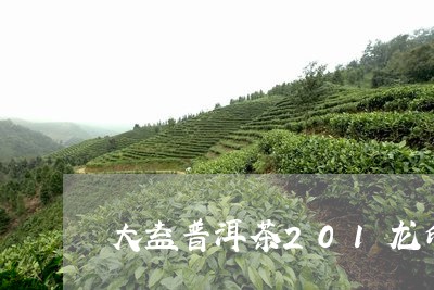 大益普洱茶201龙印/2023062311704