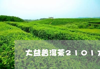 大益普洱茶2101大龙柱/2023110285040