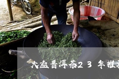 大益普洱茶23年推荐/2023120649382