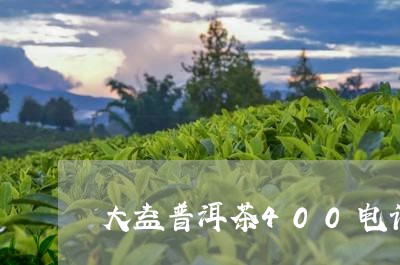 大益普洱茶400电话/2023100652794