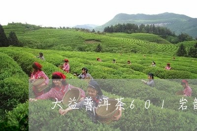 大益普洱茶601岩韵/2023062371835