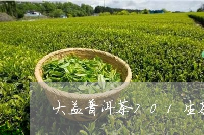 大益普洱茶701生茶/2023080362937