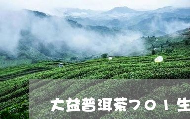 大益普洱茶701生茶/2023100713926