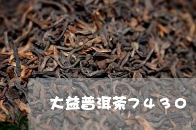 大益普洱茶7430/2023091325160