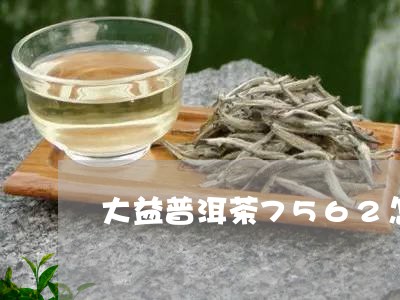 大益普洱茶7562怎么泡好喝/2023053010491