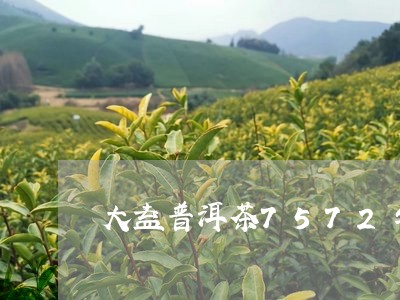 大益普洱茶7572与7592区别/2023060329615