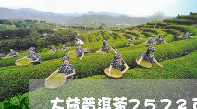 大益普洱茶7572可以送人嘛/2023082833827