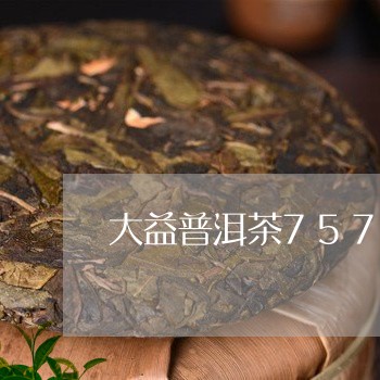 大益普洱茶7572喝法/2023122016267