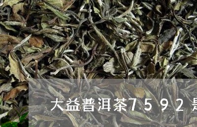 大益普洱茶7592是/2023062481502