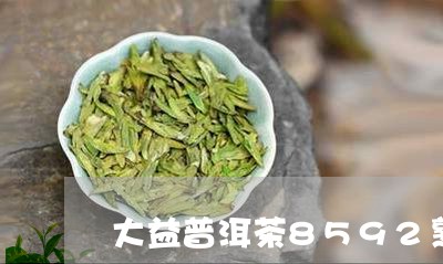 大益普洱茶8592熟茶价格/2023052915040