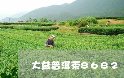 大益普洱茶8682/2023091342727