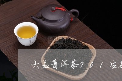 大益普洱茶901生茶/2023100716268