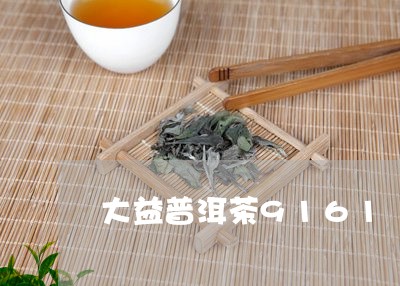 大益普洱茶9161/2023120465271