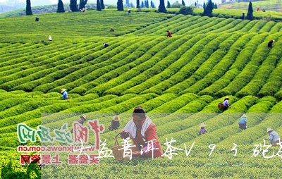 大益普洱茶V93砣茶/2023062298159