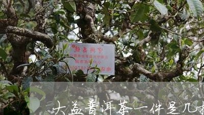 大益普洱茶一件是几提/2023061459693