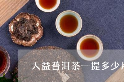 大益普洱茶一提多少片/2023092649793