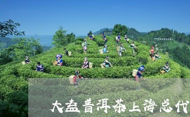 大益普洱茶上海总代理/2023061409364