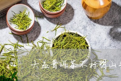 大益普洱茶不标明山头/2023092505147