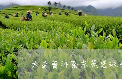 大益普洱茶东莞篮球队/2023072156945