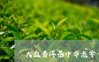 大益普洱茶中华老字号/2023062293925