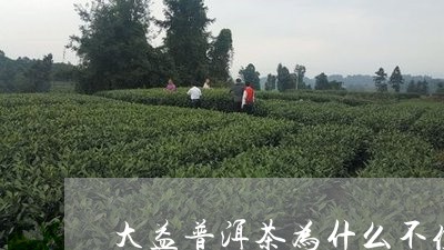 大益普洱茶为什么不值得推荐/2023121581595