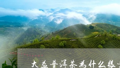 大益普洱茶为什么很贵/2023092835479