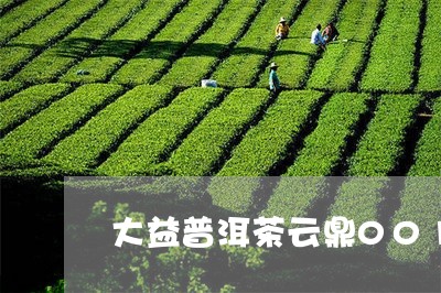 大益普洱茶云鼎001/2023062148793