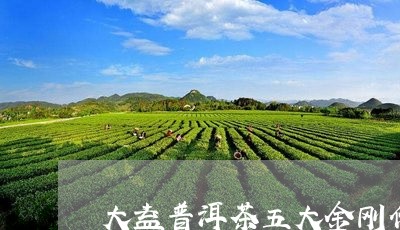 大益普洱茶五大金刚价格/2023081740495