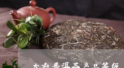 大益普洱茶产品等级/2023082904160