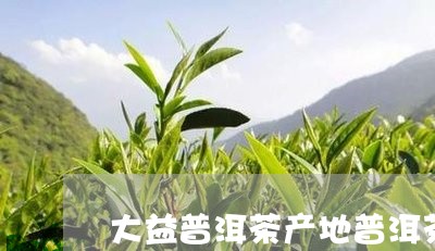 大益普洱茶产地普洱茶的等级怎么分/2023060393726